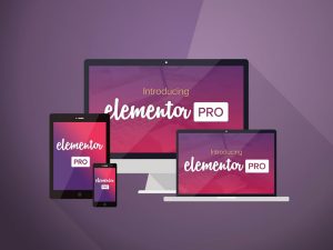 Elementor Pro License